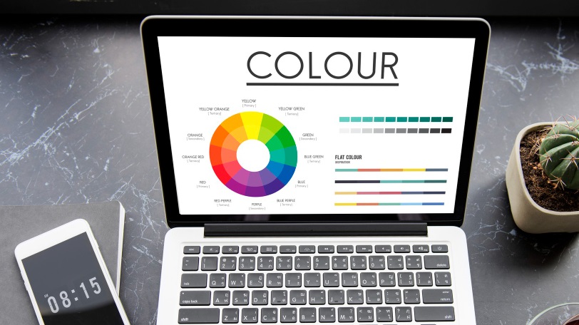 color websites attract most